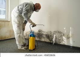 Best Water Damage & Mold Remediation  in Osage, IA